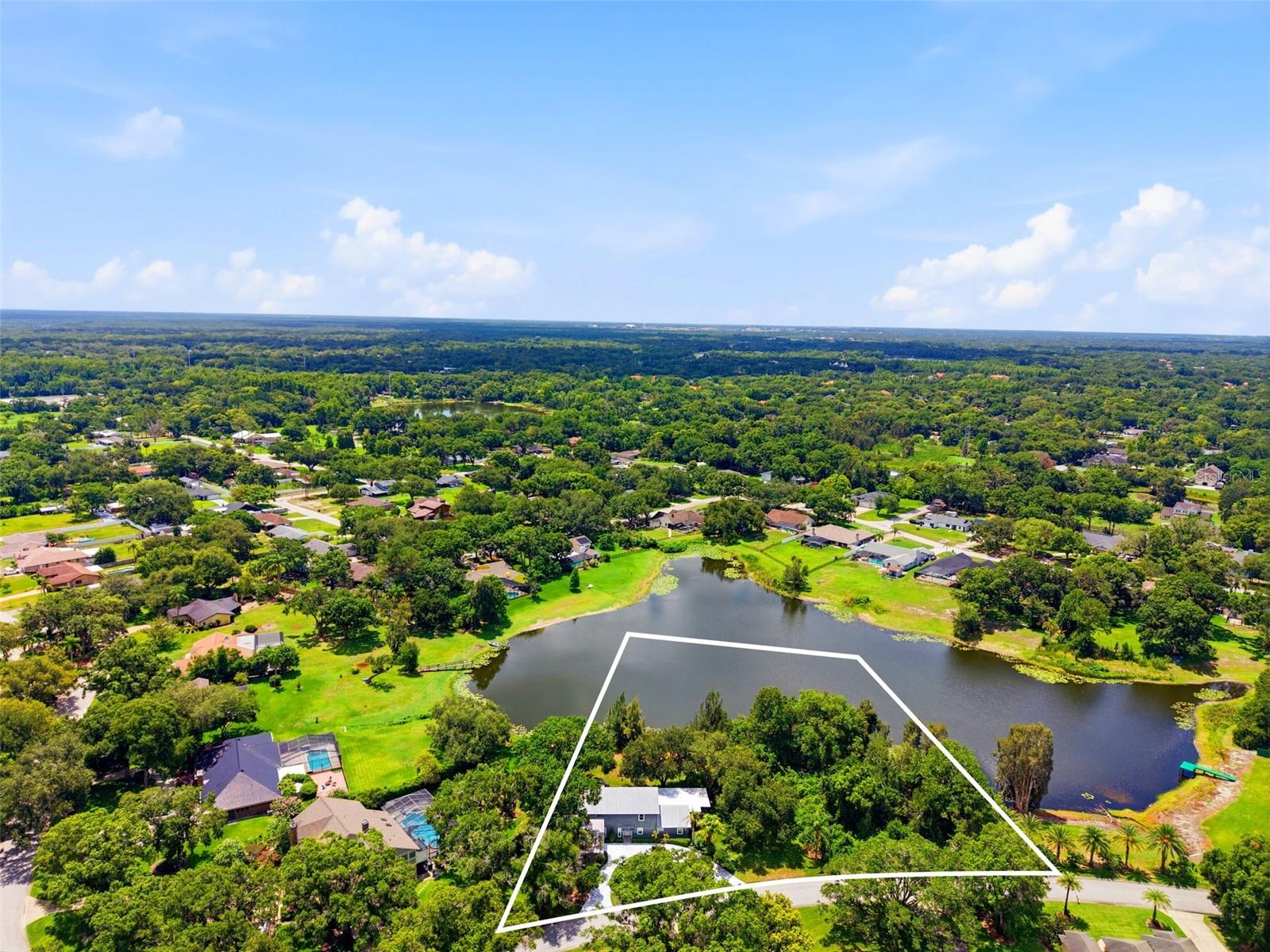 Single Family Residence em LUTZ, FL - Daniel Dourado