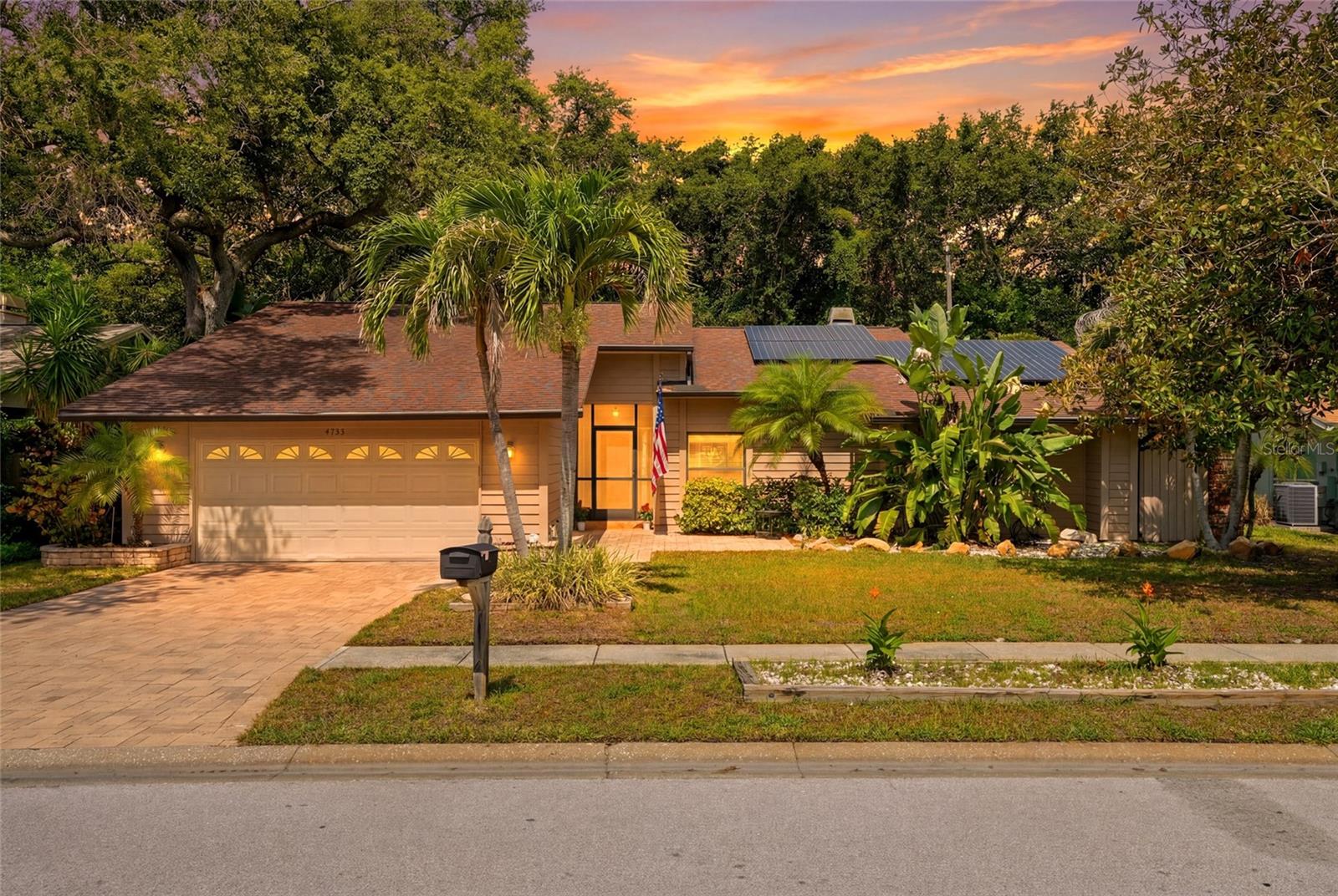 Single Family Residence em PALM HARBOR, FL - Daniel Dourado