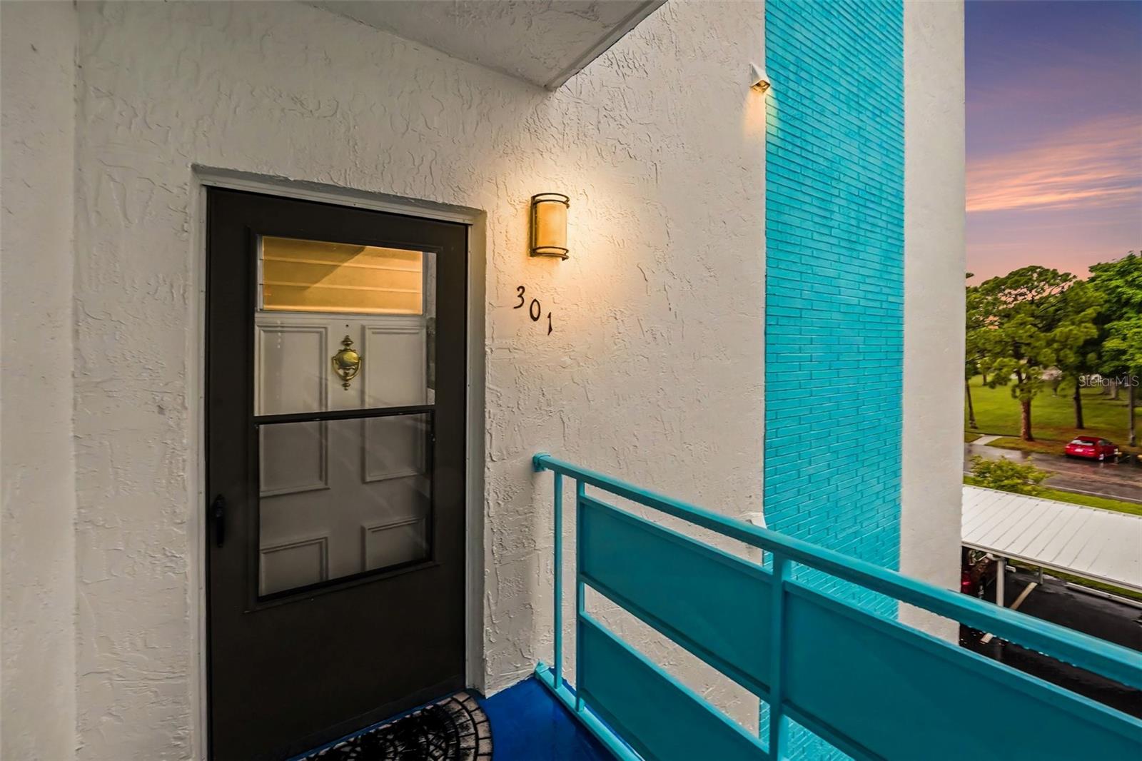 Condominium in ST PETERSBURG, FL - Daniel Dourado