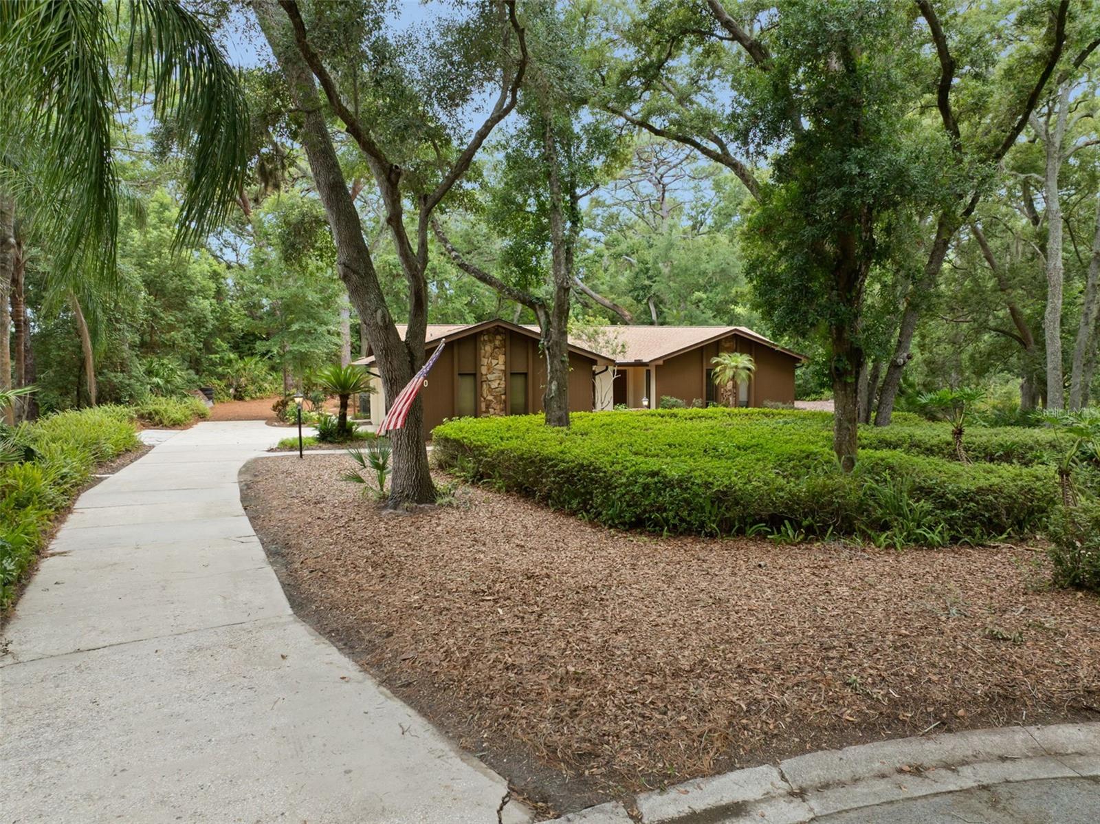 Single Family Residence in DUNEDIN, FL - Daniel Dourado