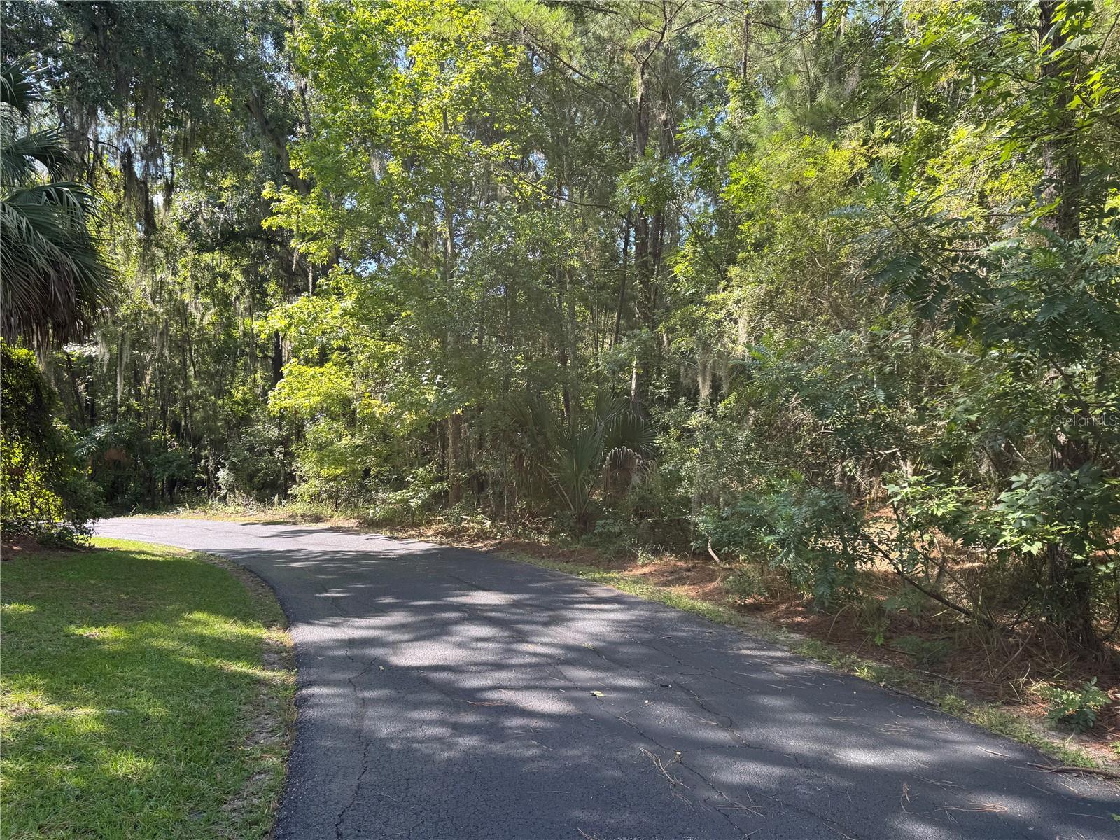  in OCALA, FL - Daniel Dourado