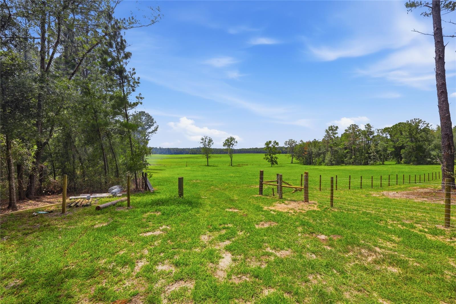  em ALACHUA, FL - Daniel Dourado