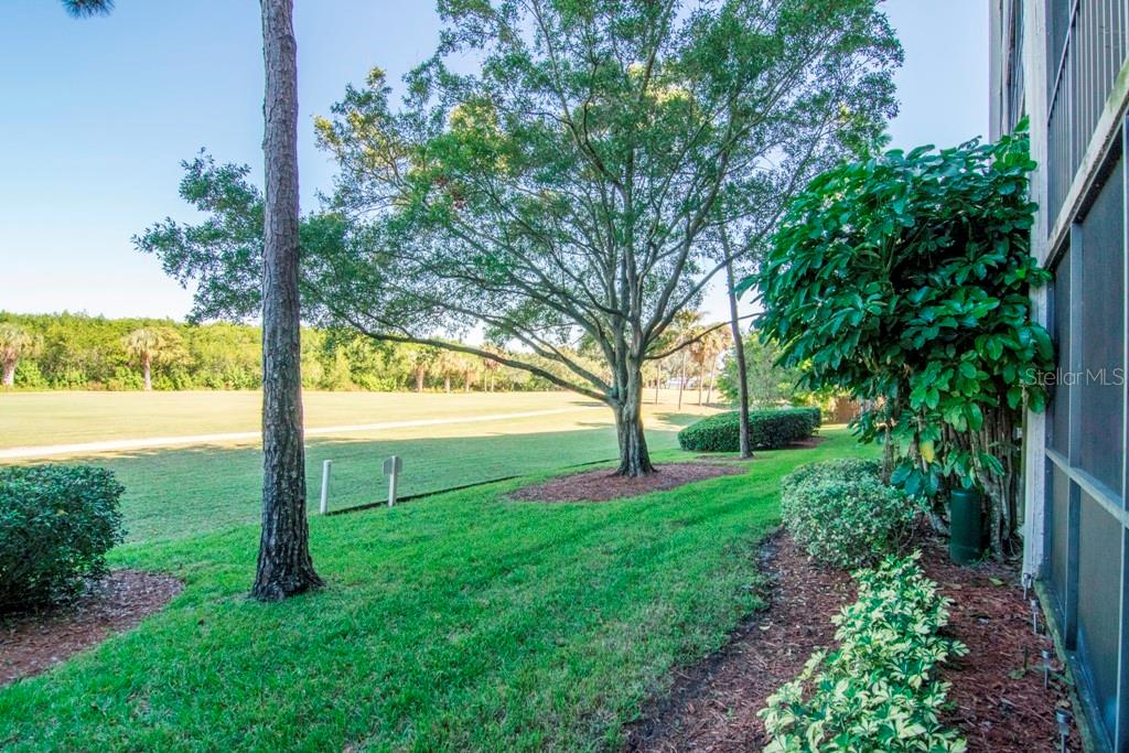 Condominium em CLEARWATER, FL - Daniel Dourado