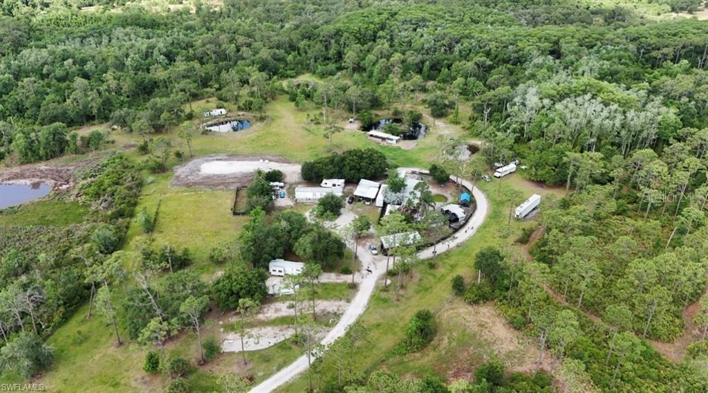 Farm em LABELLE, FL - Daniel Dourado