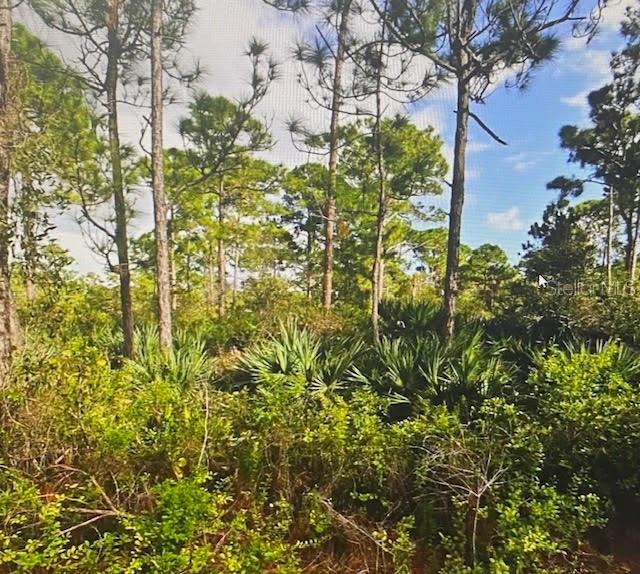 em FORT PIERCE, FL - Daniel Dourado
