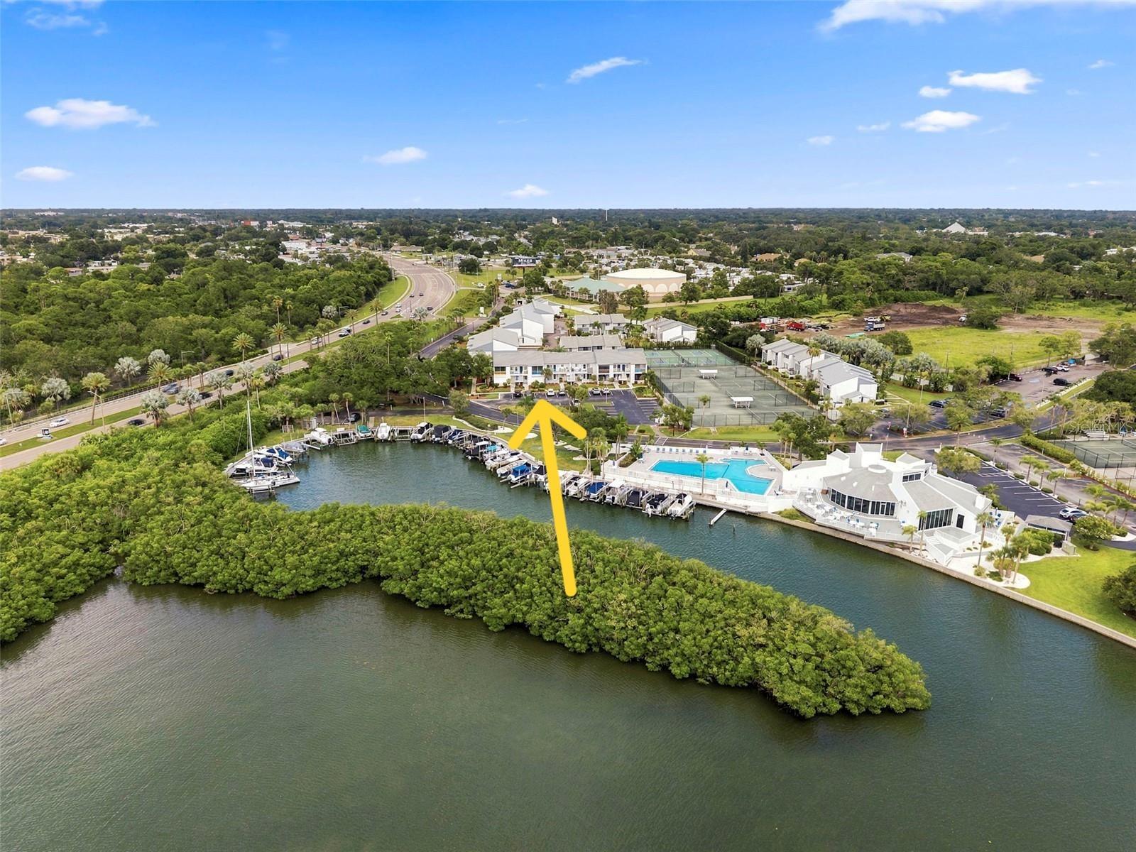 Condominium em LARGO, FL - Daniel Dourado