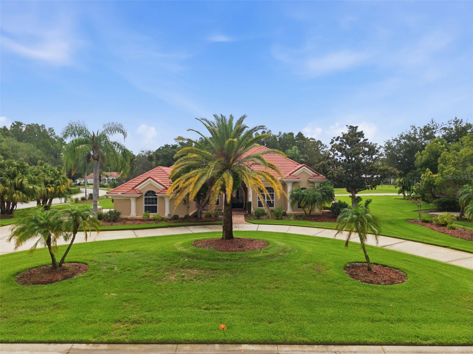 Single Family Residence in LUTZ, FL - Daniel Dourado
