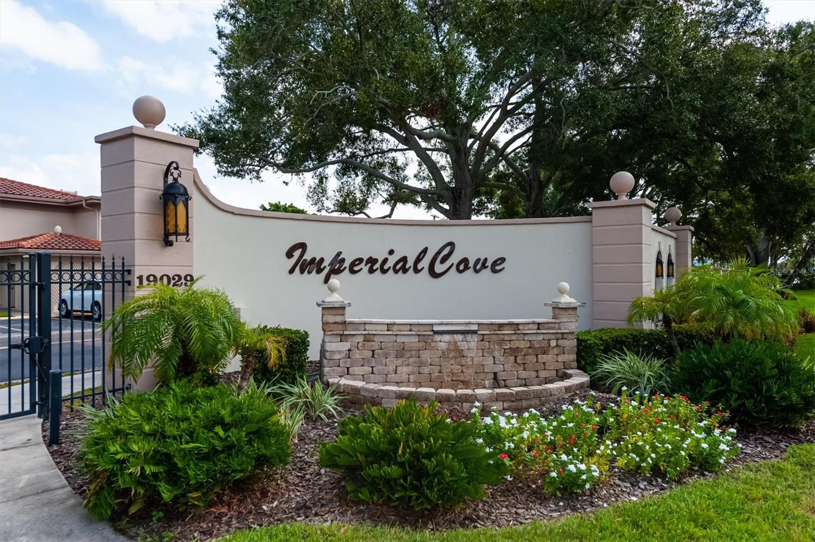 Condominium em CLEARWATER, FL - Daniel Dourado