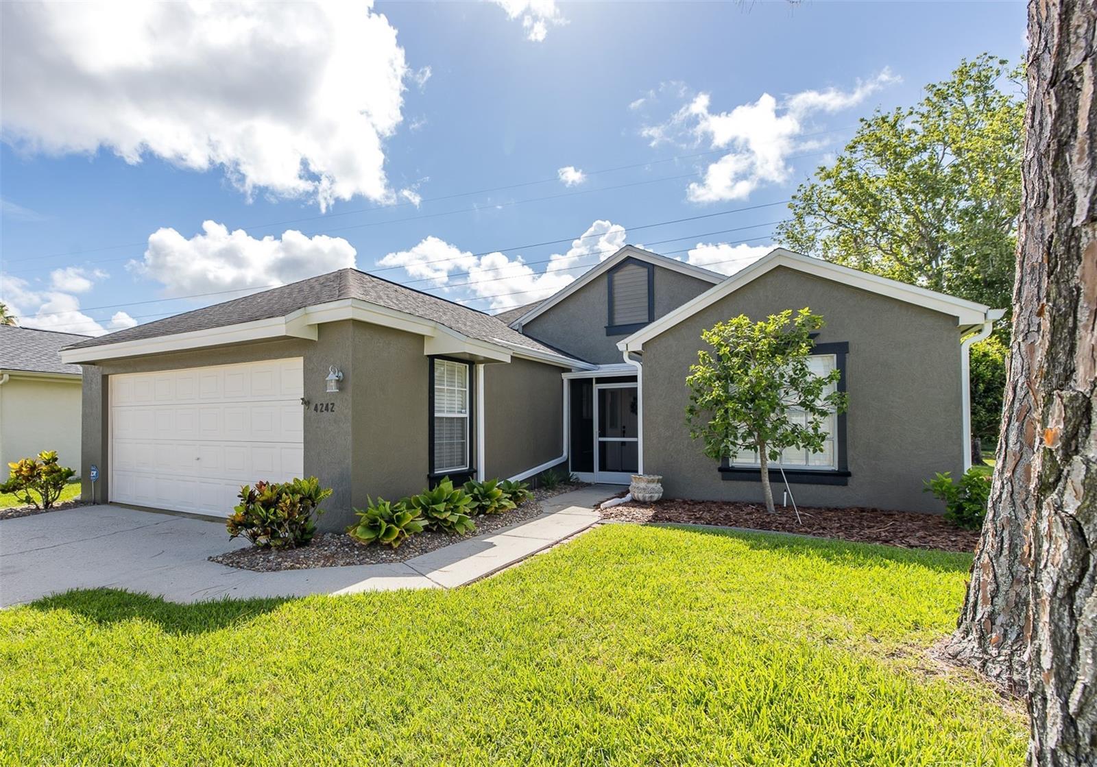 Single Family Residence in NEW PORT RICHEY, FL - Daniel Dourado