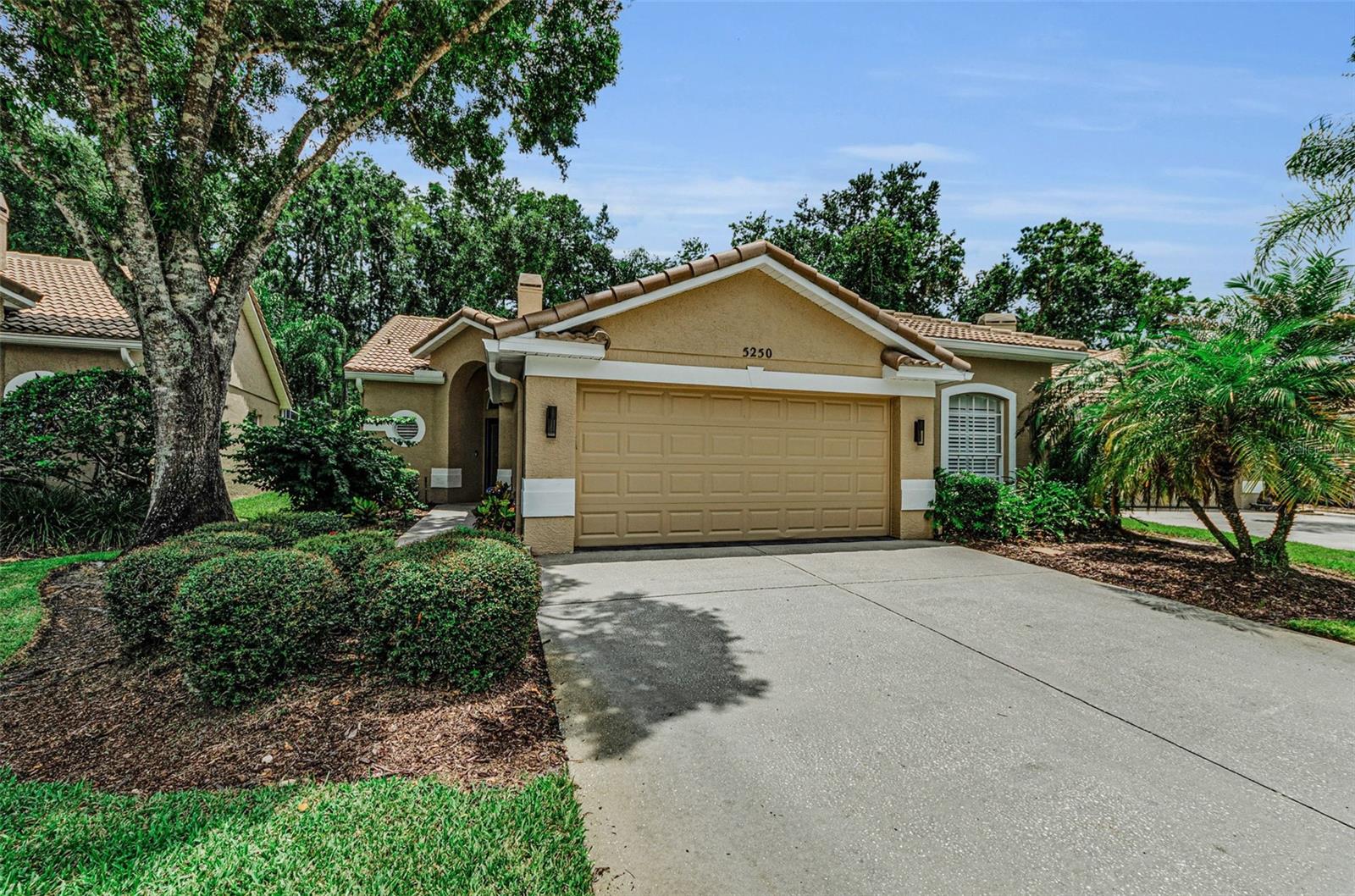 Single Family Residence em OLDSMAR, FL - Daniel Dourado
