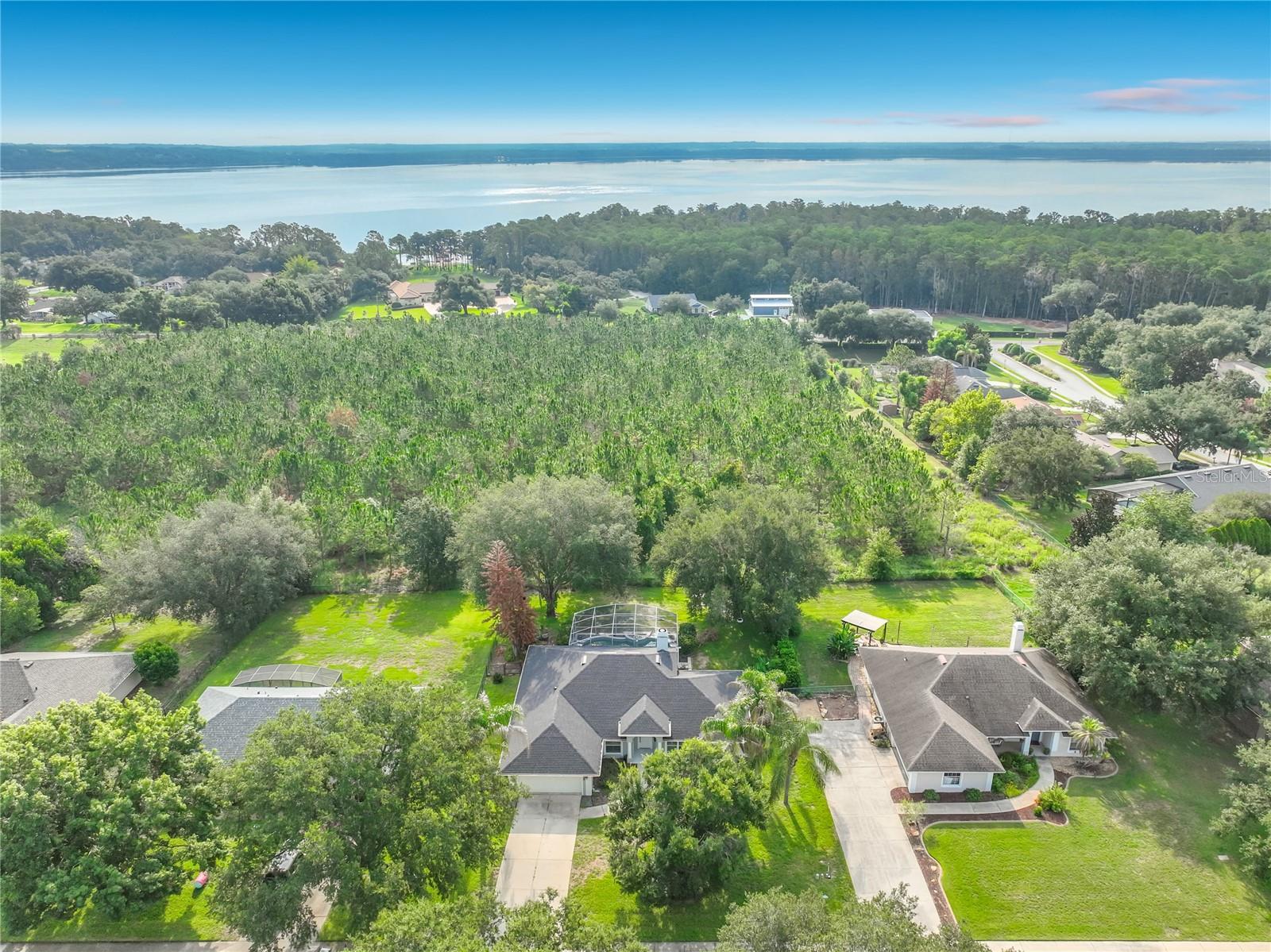 Single Family Residence em CLERMONT, FL - Daniel Dourado