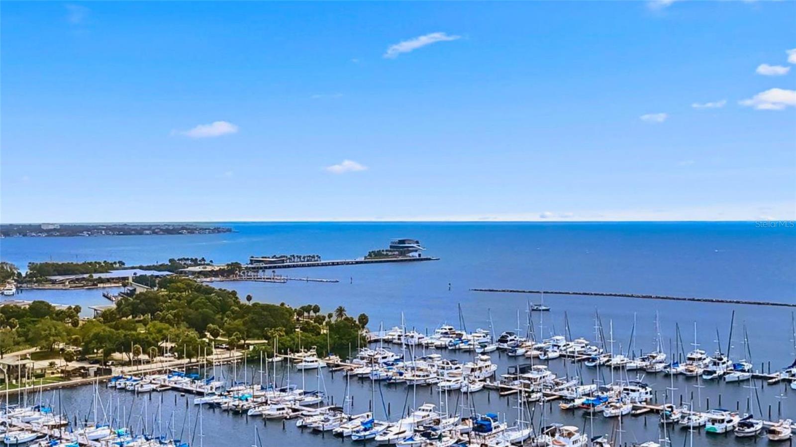 Condominium em ST PETERSBURG, FL - Daniel Dourado