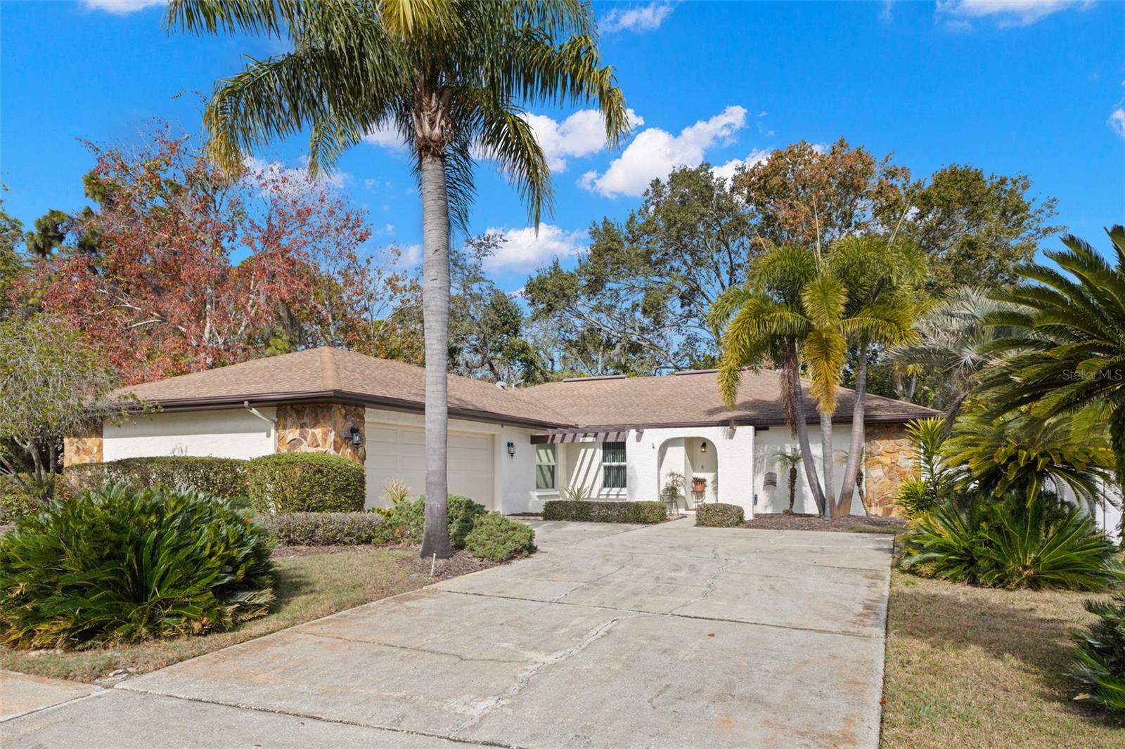 Single Family Residence em CLEARWATER, FL - Daniel Dourado