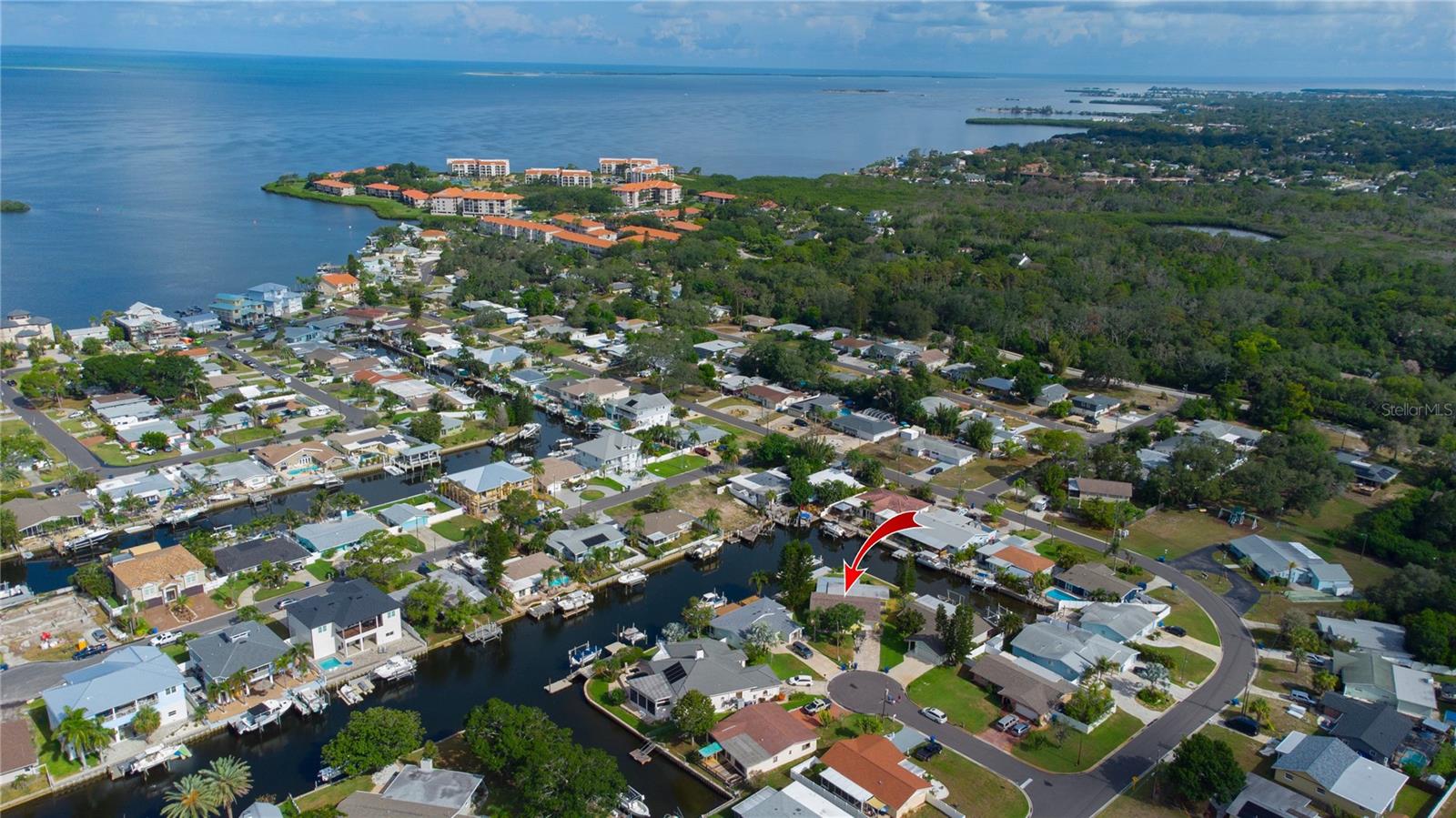 Single Family Residence in PALM HARBOR, FL - Daniel Dourado
