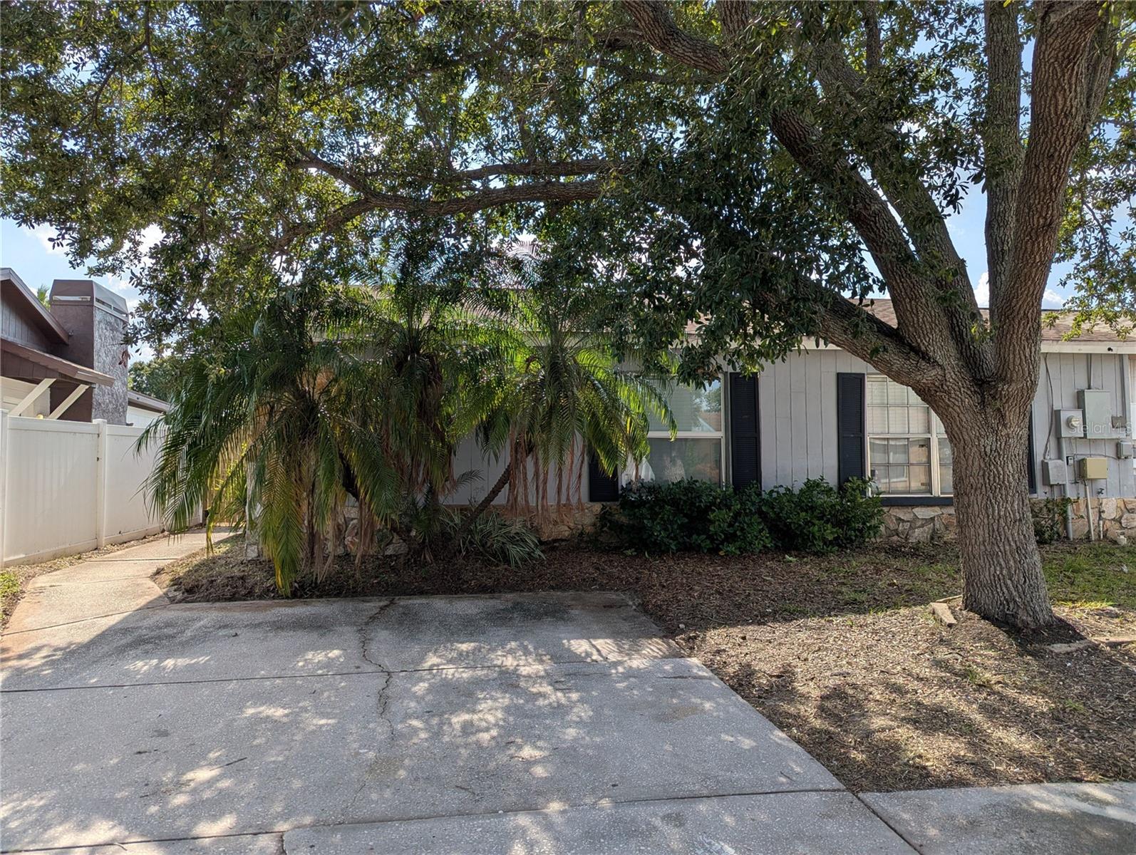 Single Family Residence em BRANDON, FL - Daniel Dourado
