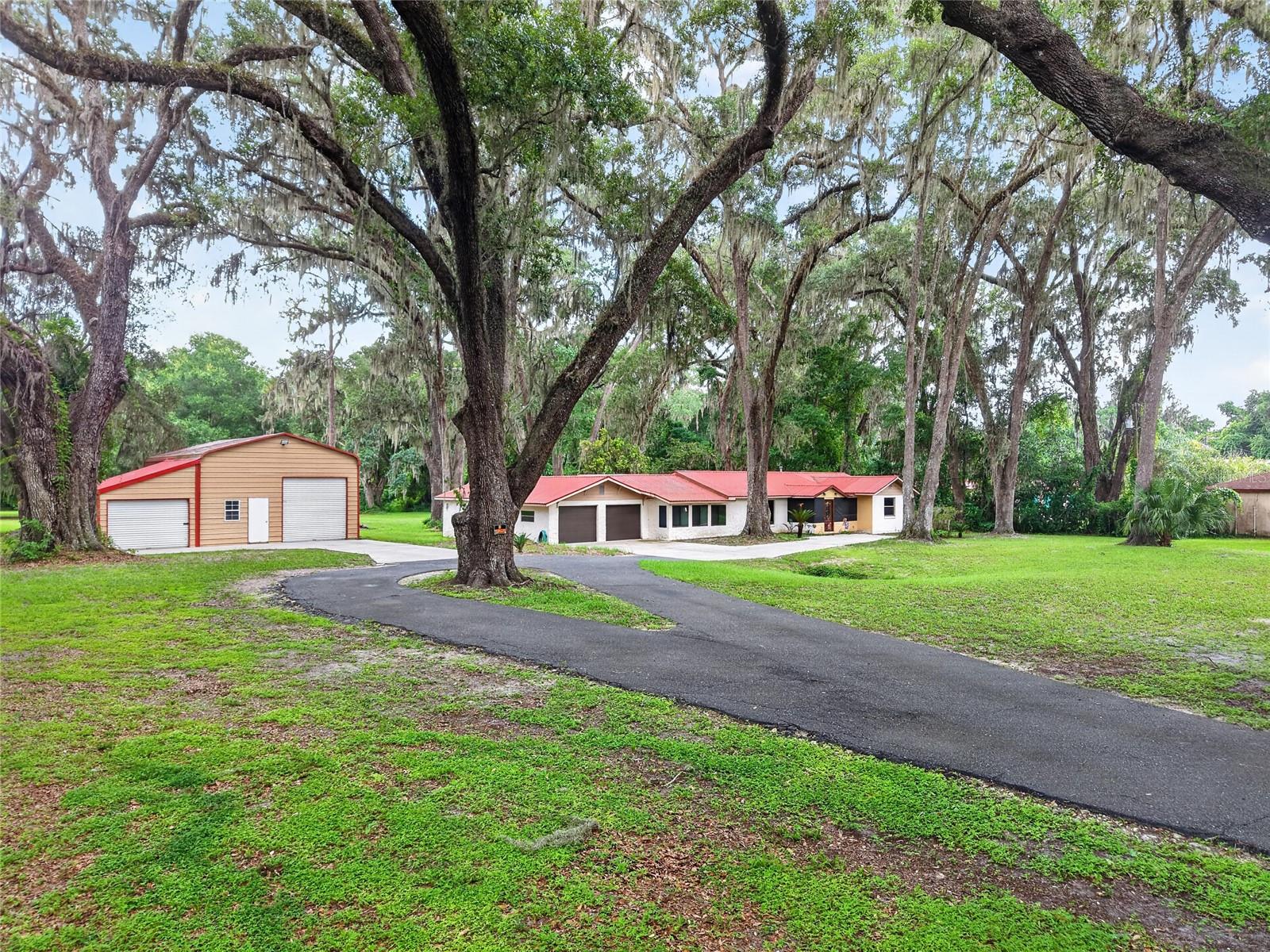 Single Family Residence in CITRA, FL - Daniel Dourado