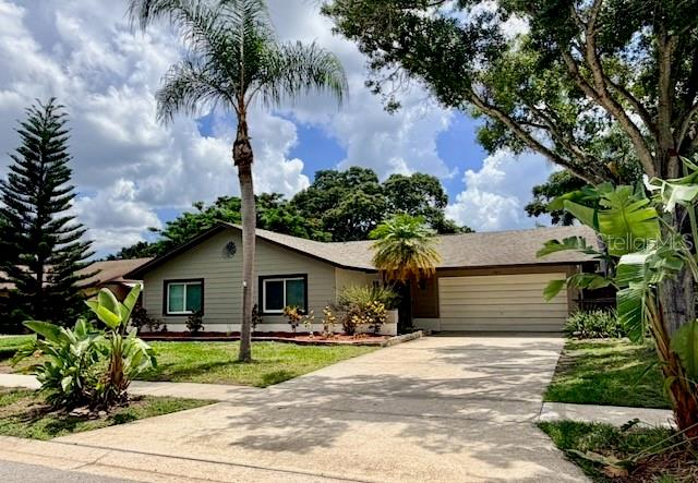 Single Family Residence em DUNEDIN, FL - Daniel Dourado
