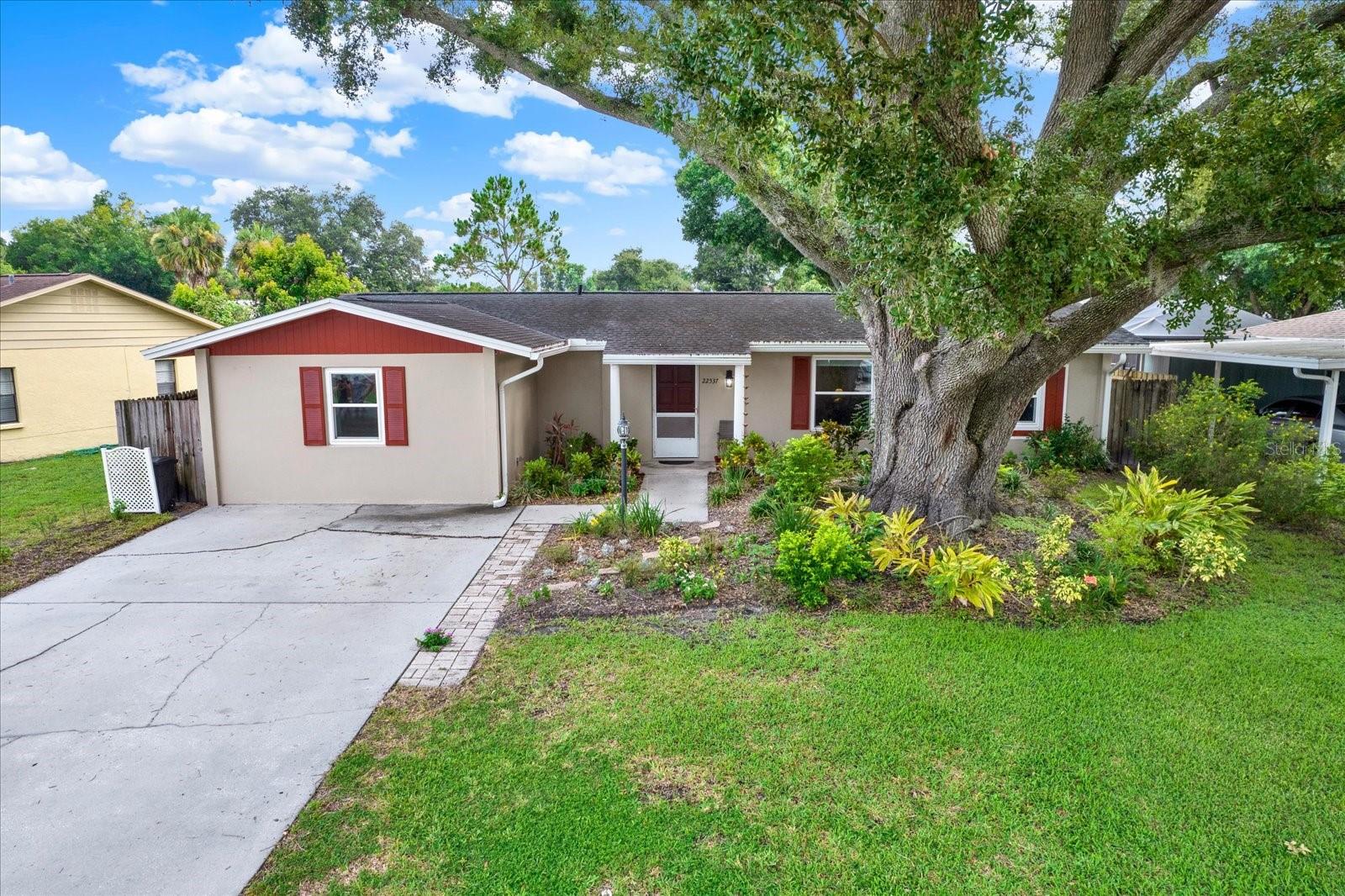 Single Family Residence in LAND O LAKES, FL - Daniel Dourado