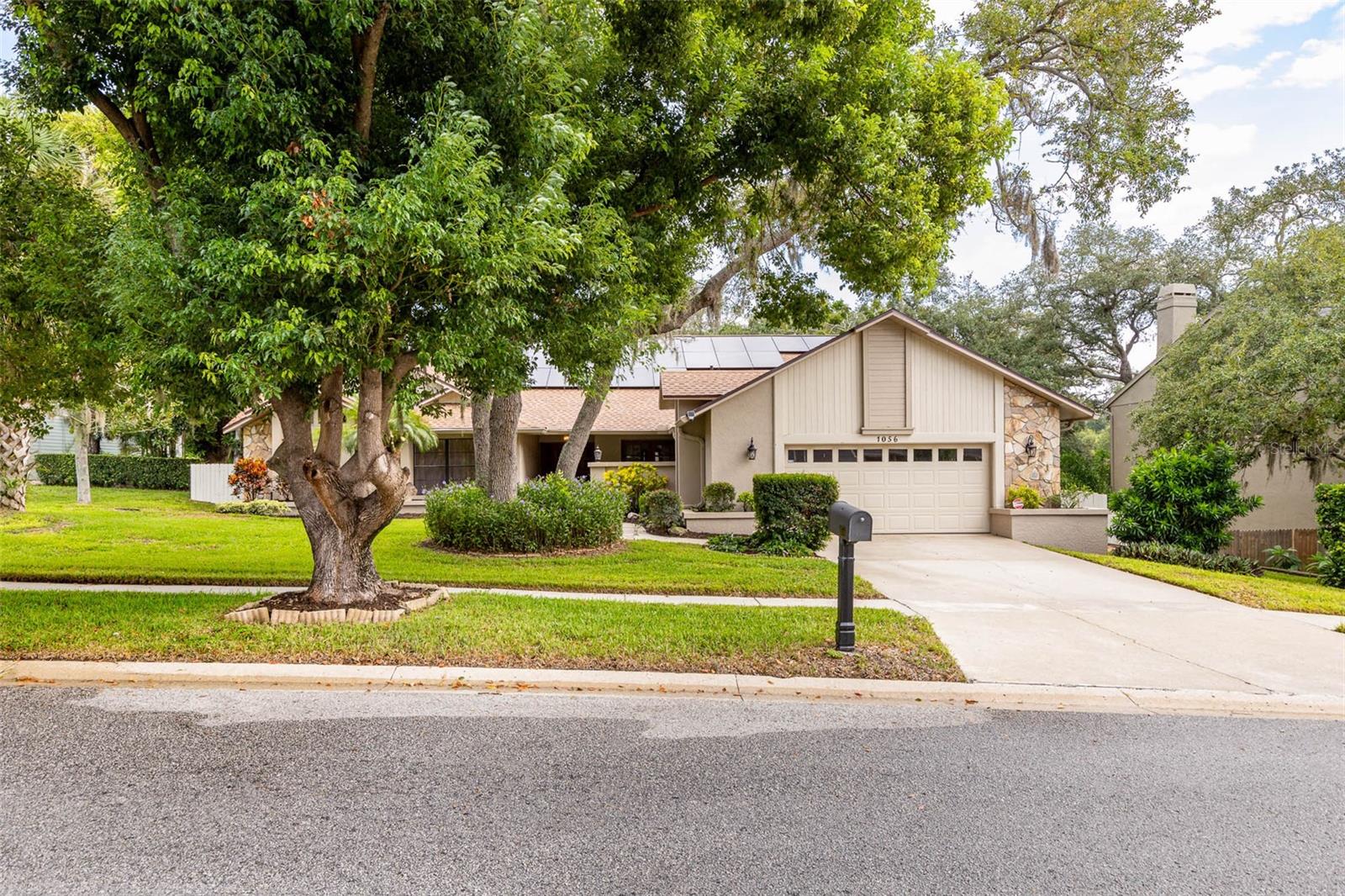 Single Family Residence in PALM HARBOR, FL - Daniel Dourado