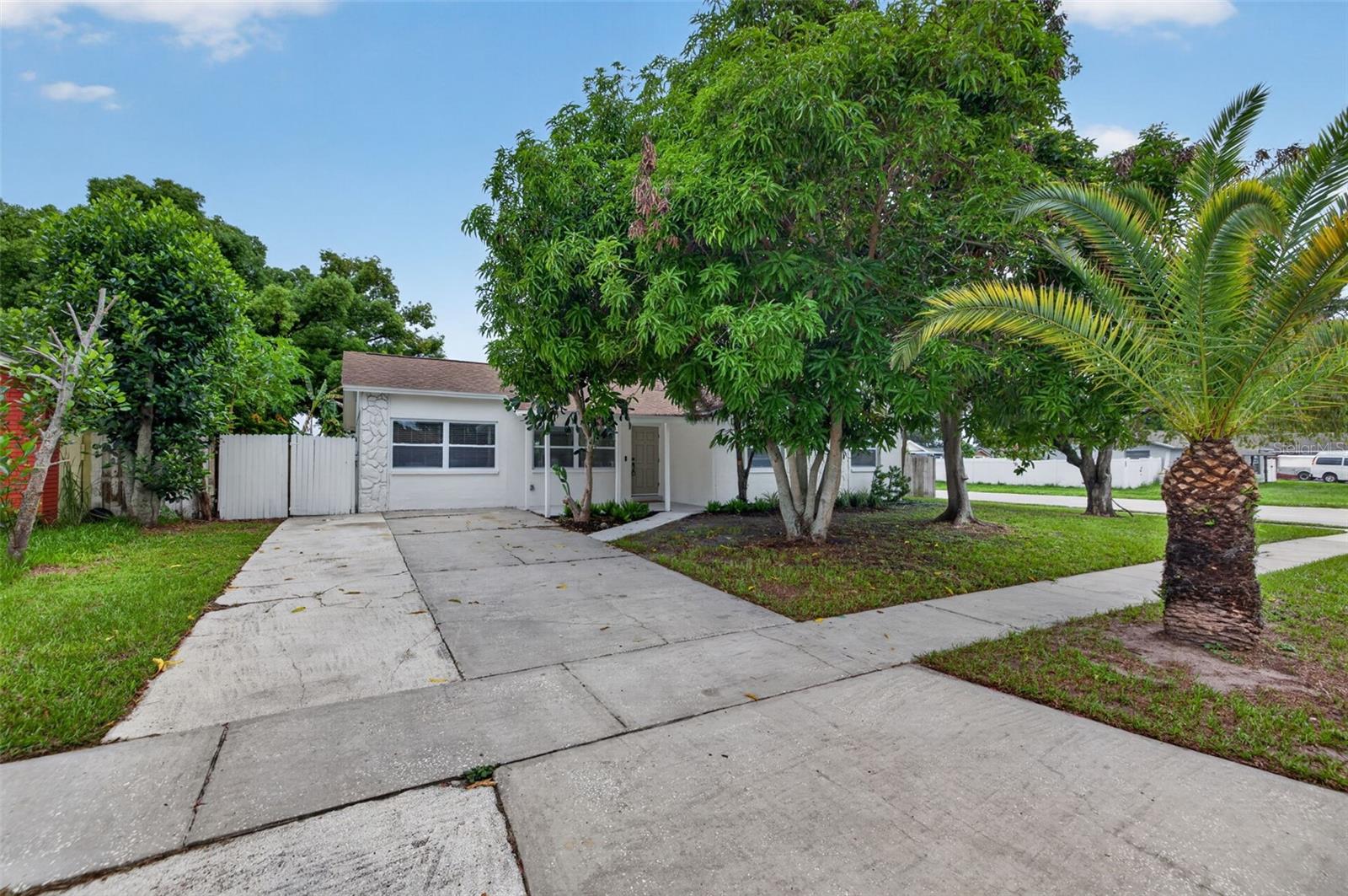 Single Family Residence in TAMPA, FL - Daniel Dourado