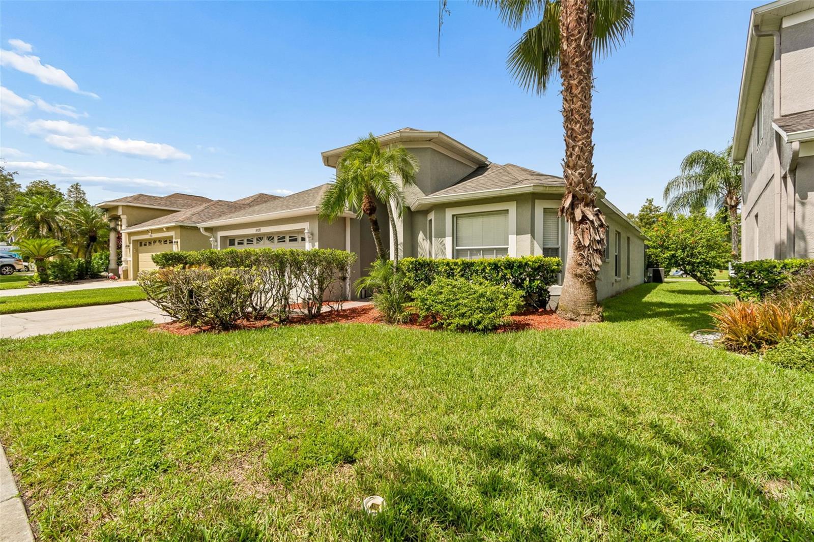 Single Family Residence in LUTZ, FL - Daniel Dourado