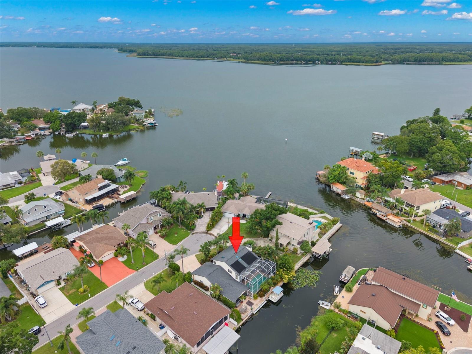Single Family Residence in PALM HARBOR, FL - Daniel Dourado
