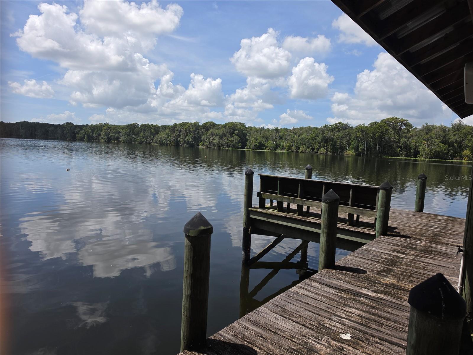  em SATSUMA, FL - Daniel Dourado