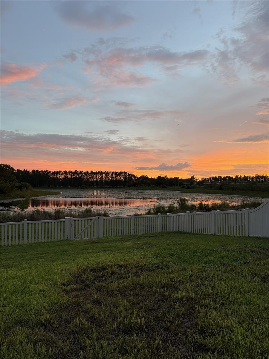 Single Family Residence in LUTZ, FL - Daniel Dourado