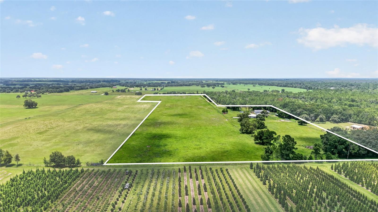 Single Family Residence in MORRISTON, FL - Daniel Dourado