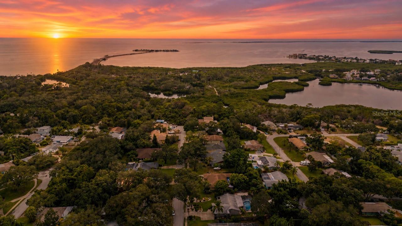 Single Family Residence in TARPON SPRINGS, FL - Daniel Dourado