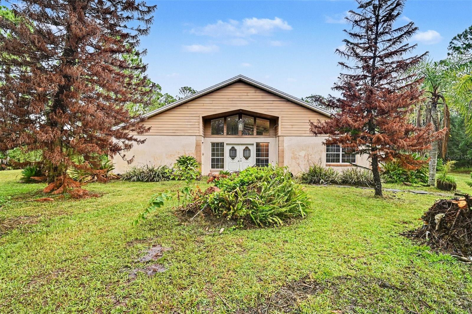 Single Family Residence in MIMS, FL - Daniel Dourado