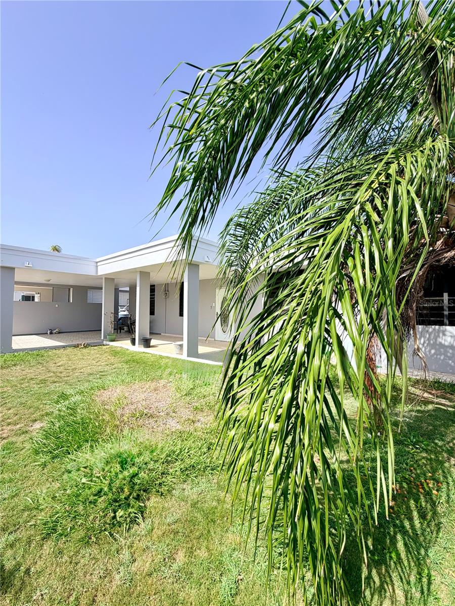 Single Family Residence in AGUADILLA, PR - Daniel Dourado