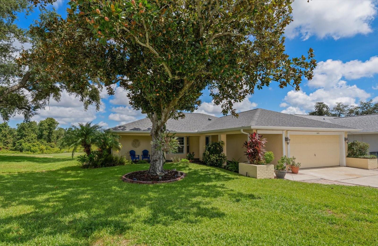 Single Family Residence em PALM HARBOR, FL - Daniel Dourado