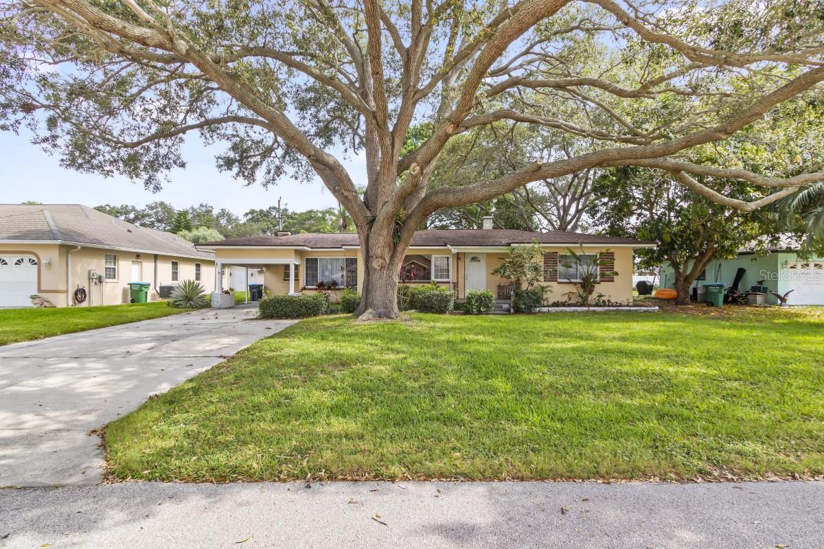 Single Family Residence em CLEARWATER, FL - Daniel Dourado