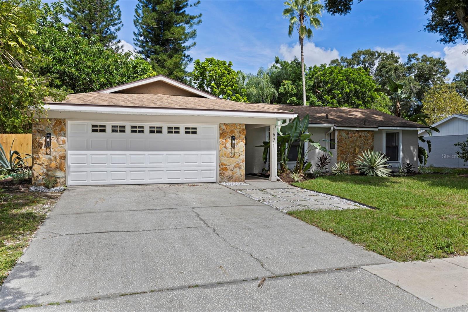 Single Family Residence in PALM HARBOR, FL - Daniel Dourado
