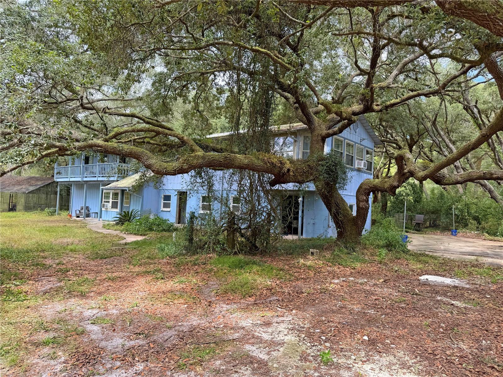 Single Family Residence in BROOKER, FL - Daniel Dourado