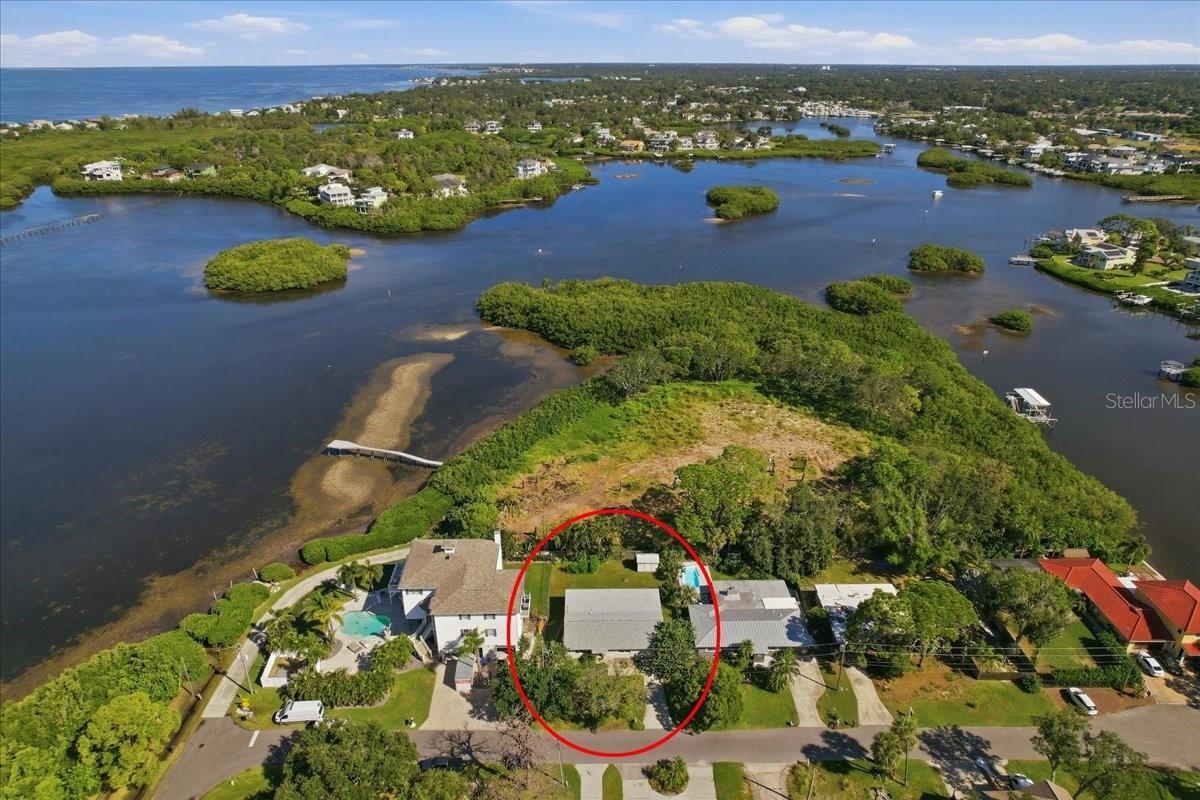 Single Family Residence in PALM HARBOR, FL - Daniel Dourado