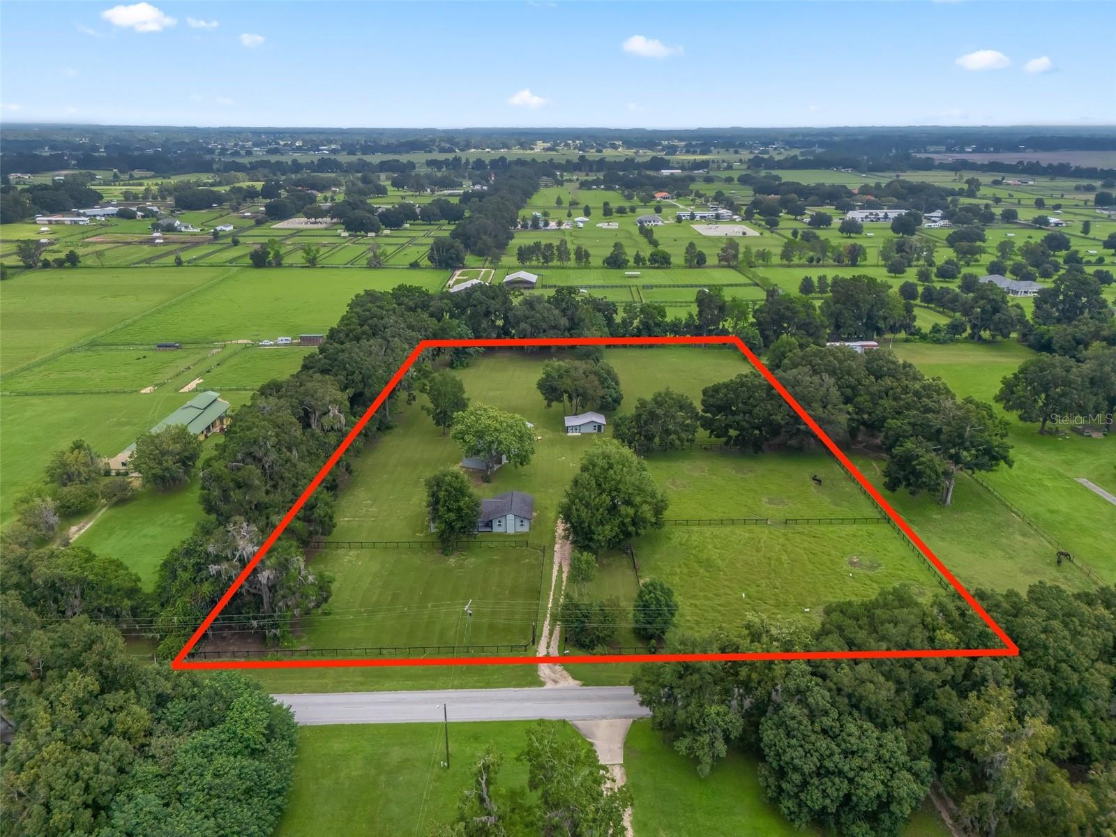 Farm em OCALA, FL - Daniel Dourado