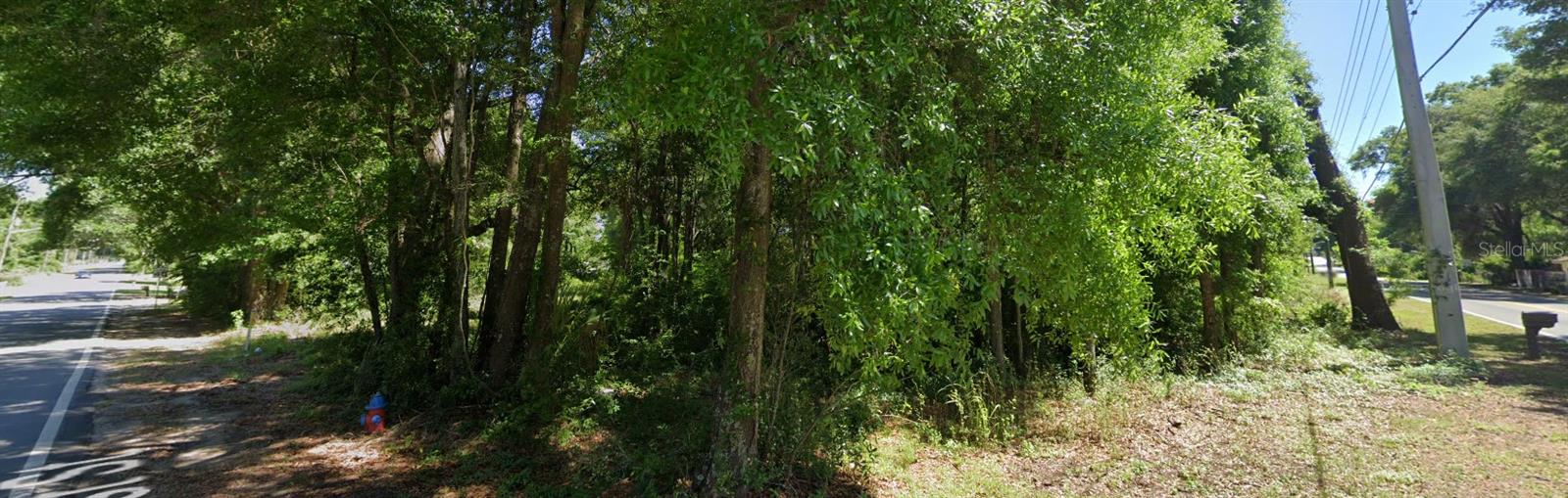  em OCALA, FL - Daniel Dourado