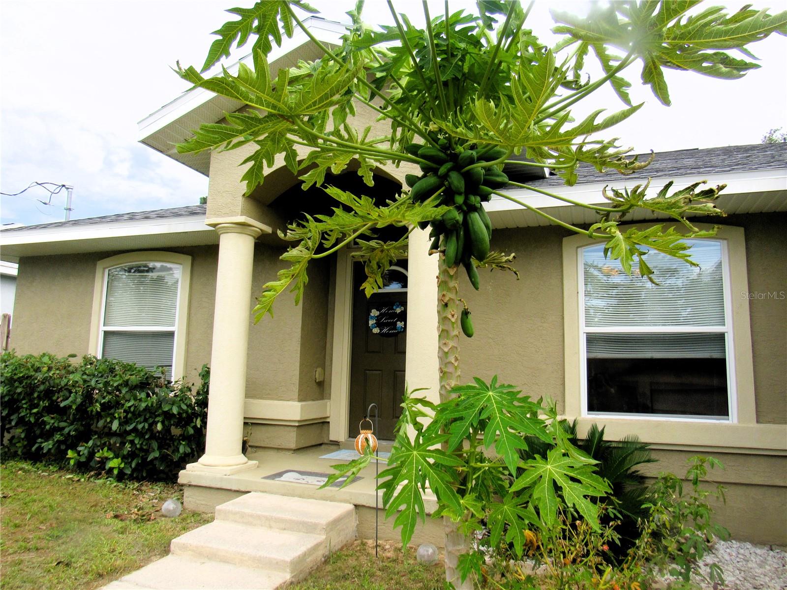 Single Family Residence em OCALA, FL - Daniel Dourado