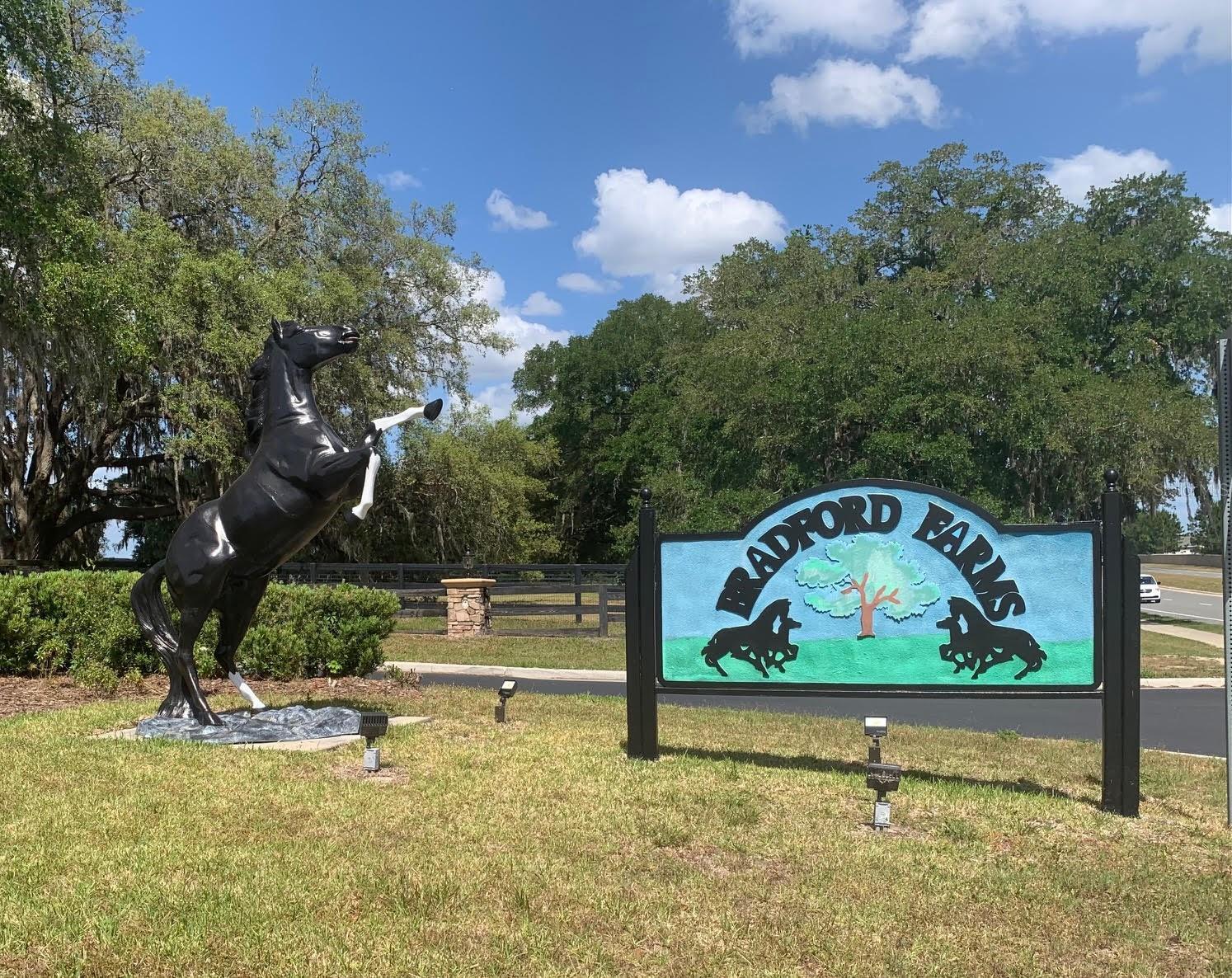  em OCALA, FL - Daniel Dourado