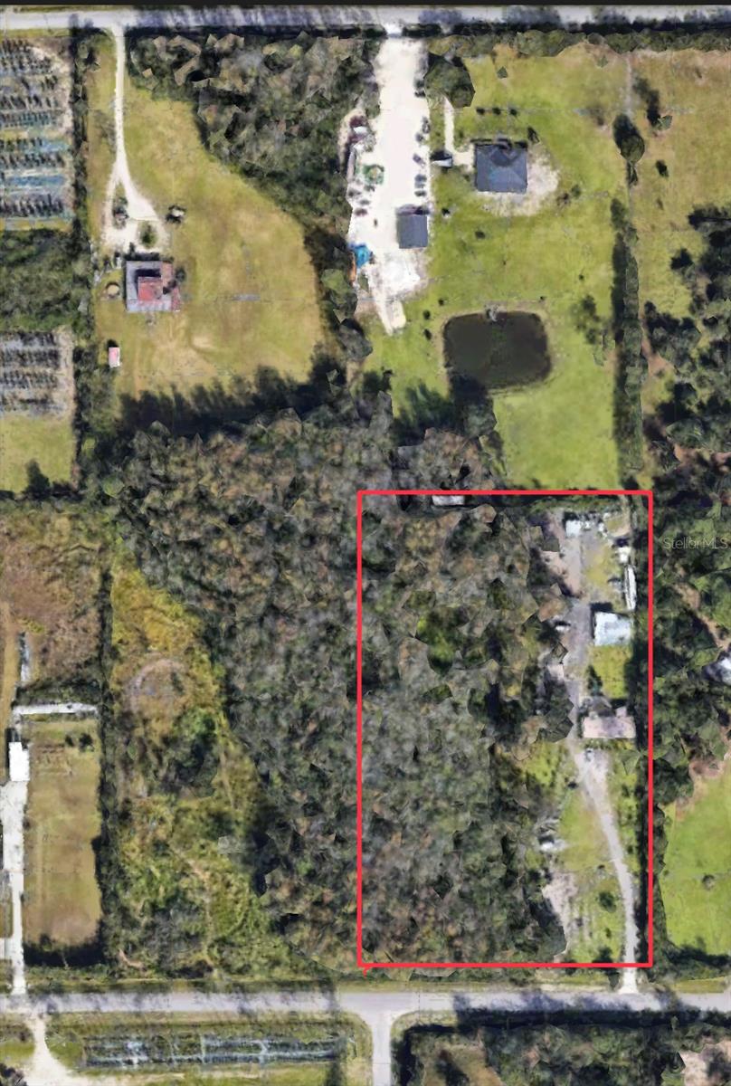  em ORLANDO, FL - Daniel Dourado