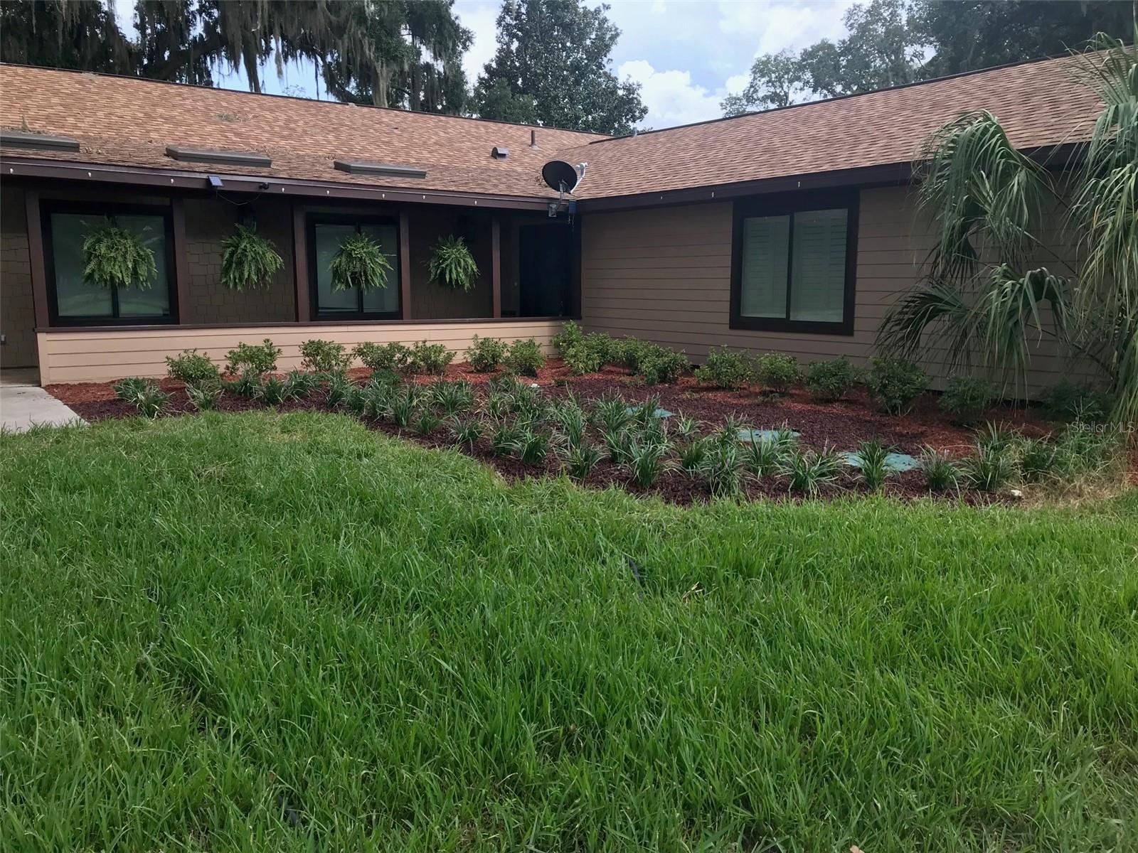 Farm em OCALA, FL - Daniel Dourado