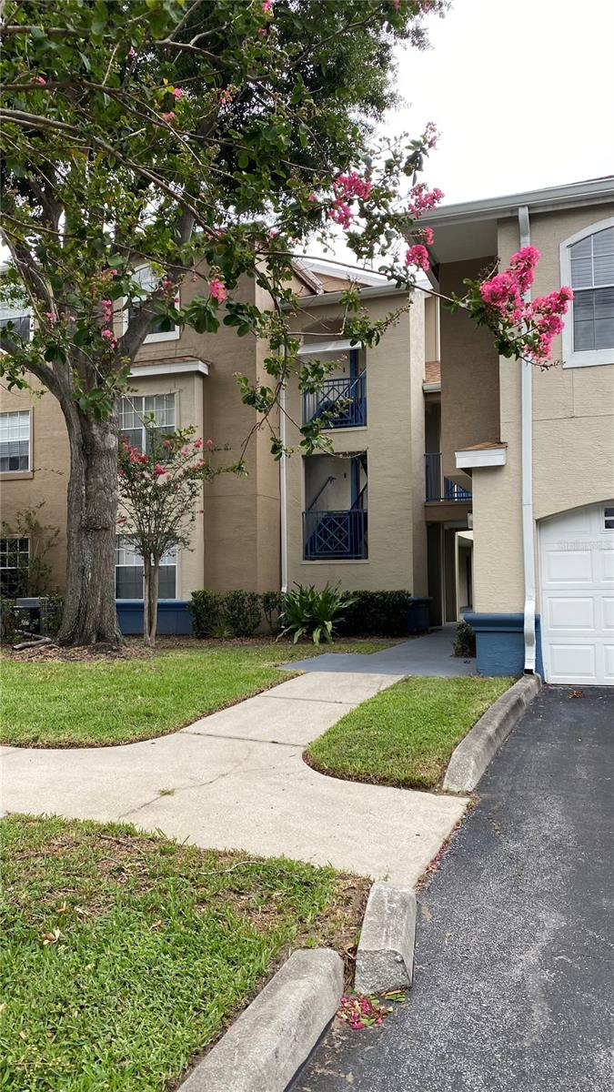 Condominium em ORLANDO, FL - Daniel Dourado