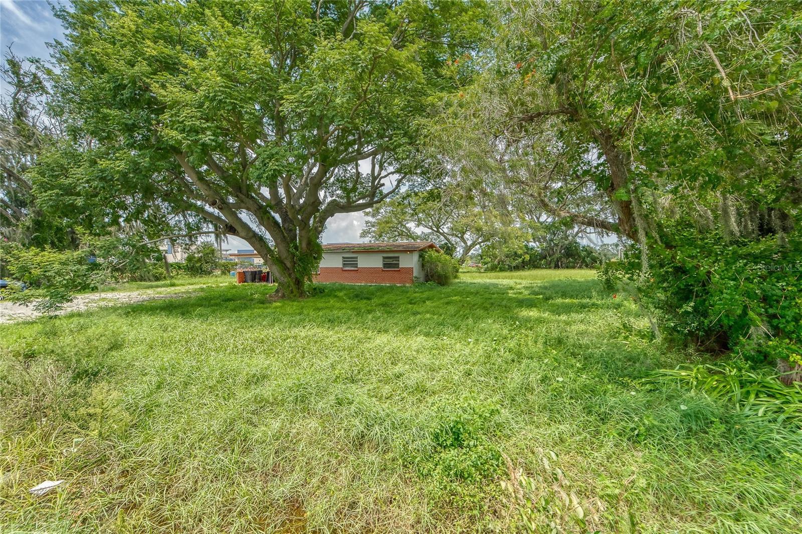  em RIVERVIEW, FL - Daniel Dourado