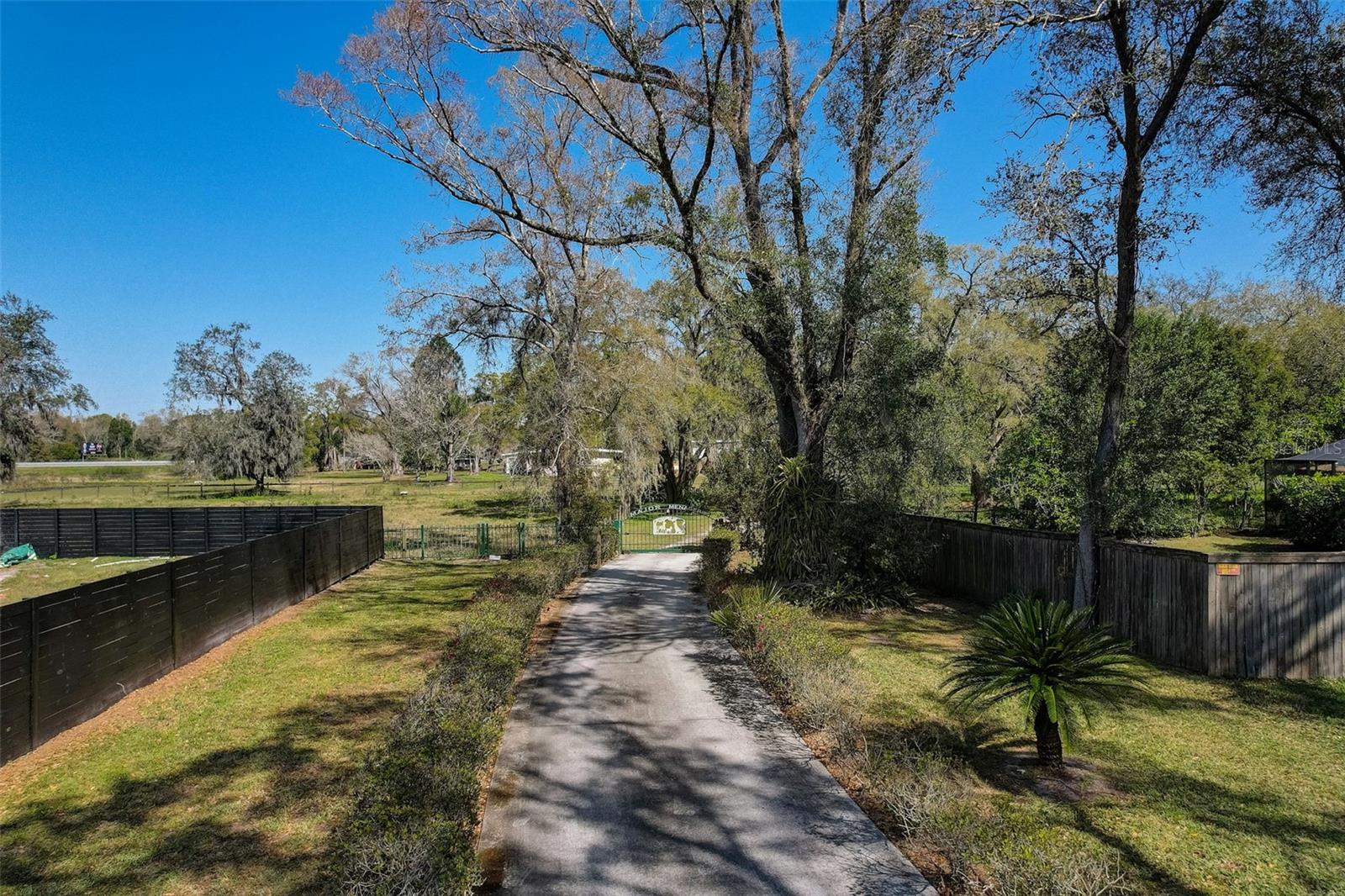  em LUTZ, FL - Daniel Dourado