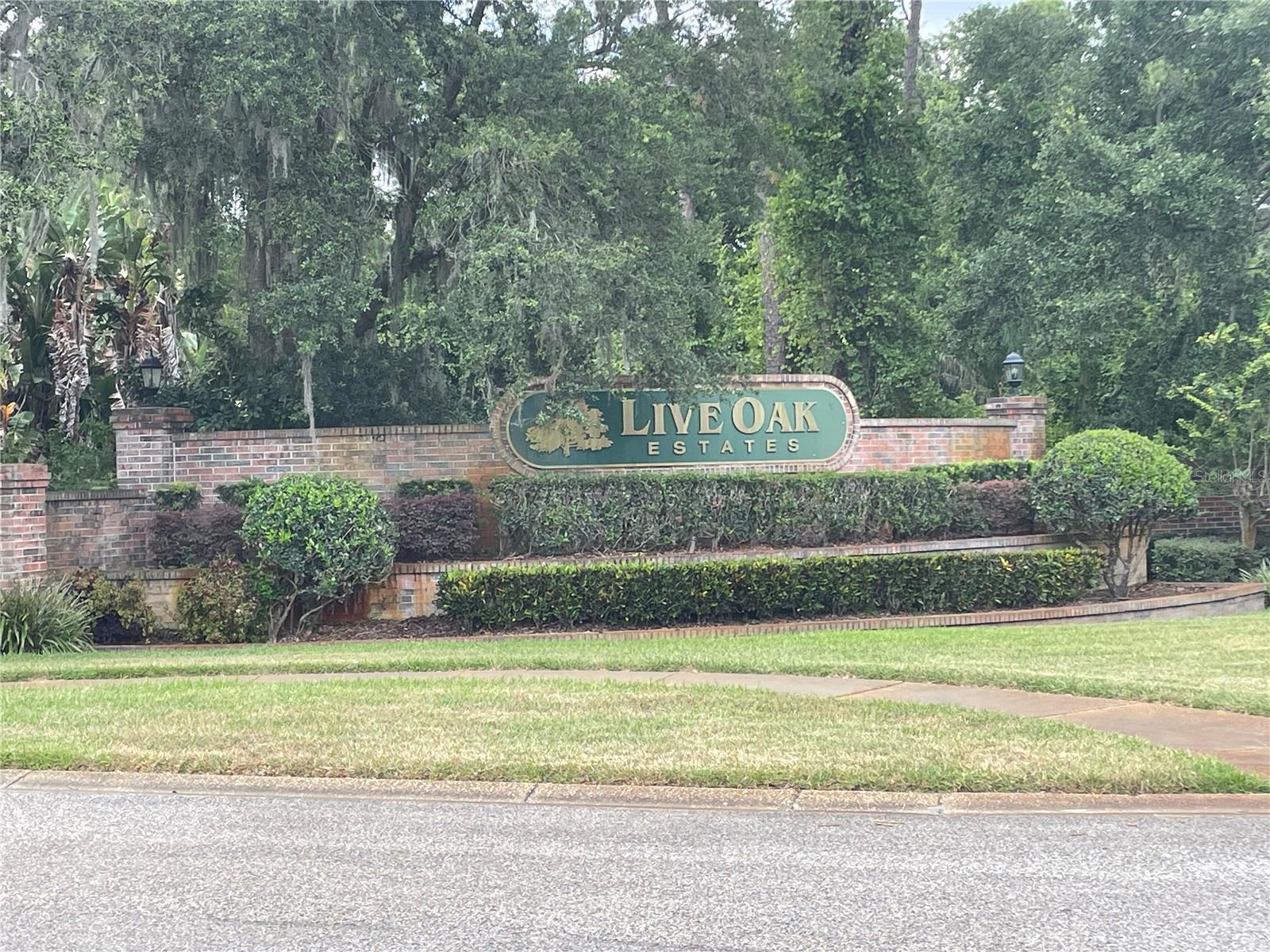  em ORLANDO, FL - Daniel Dourado