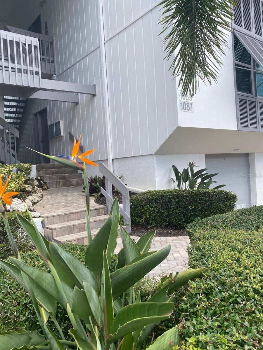 Condominium in SARASOTA, FL - Daniel Dourado