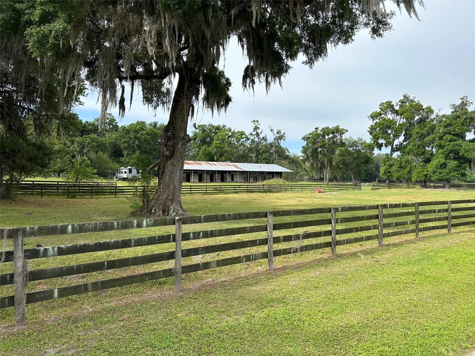 Farm em OCALA, FL - Daniel Dourado