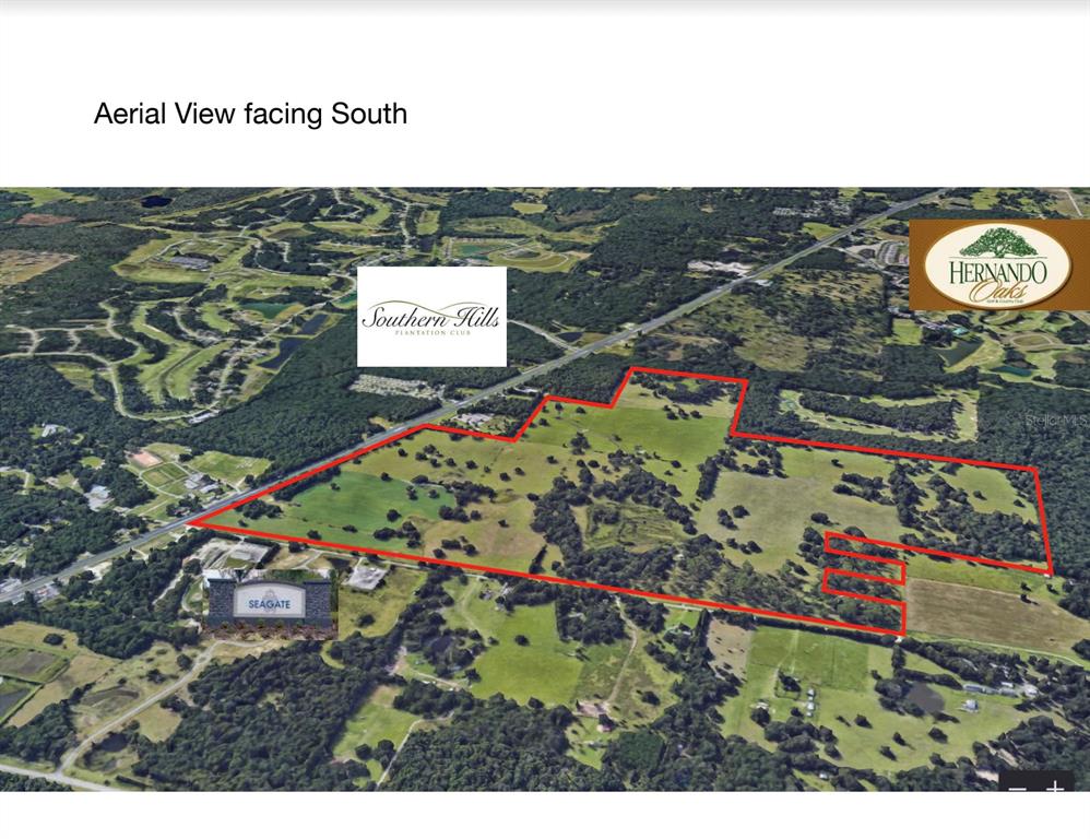  em BROOKSVILLE, FL - Daniel Dourado